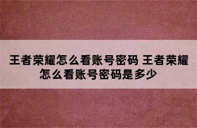 王者荣耀怎么看账号密码 王者荣耀怎么看账号密码是多少